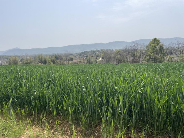 澧縣土地資源,澧縣公共基礎設施,澧縣工商業(yè)信息咨詢,澧縣澧州實業(yè)發(fā)展有限公司