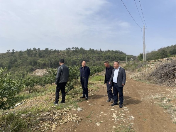 澧縣土地資源,澧縣公共基礎設施,澧縣工商業(yè)信息咨詢,澧縣澧州實業(yè)發(fā)展有限公司